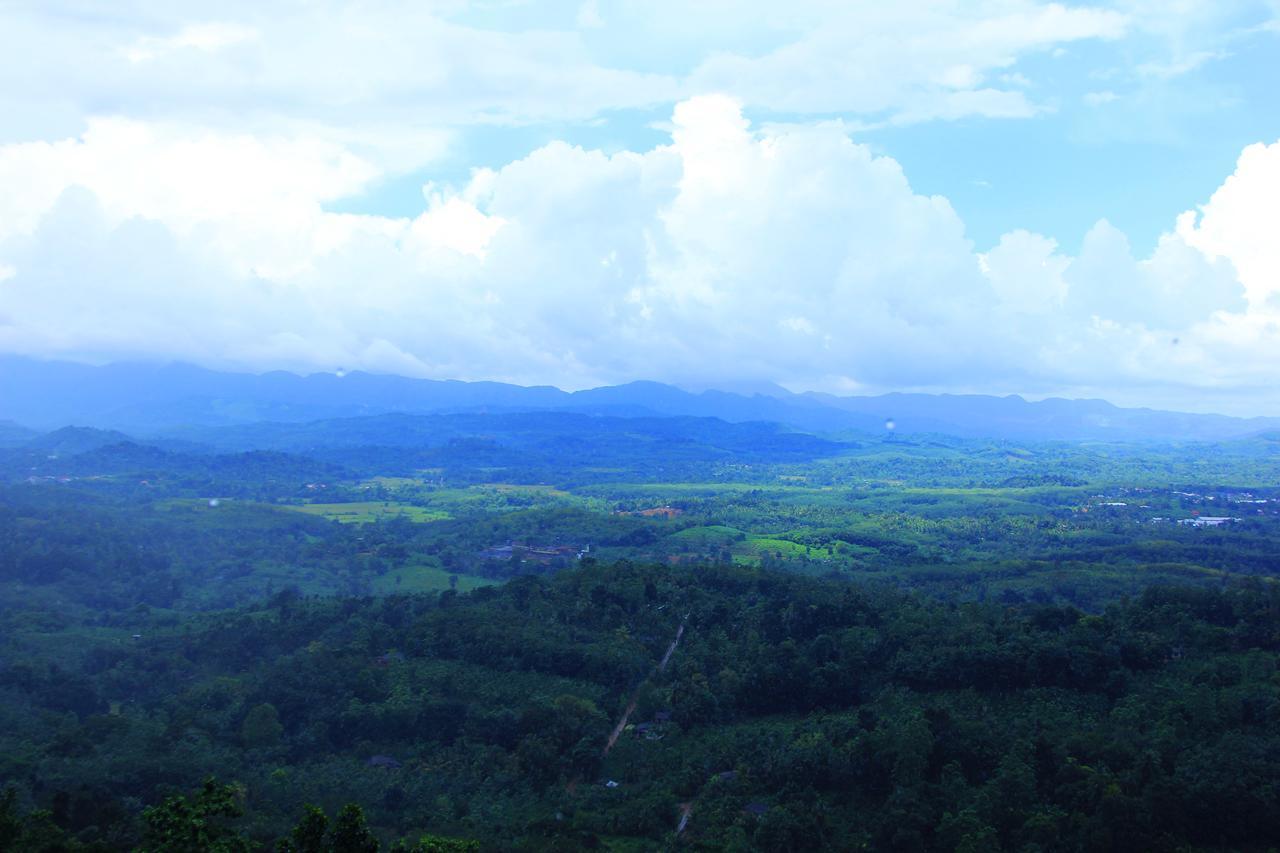 Danadhee Jungle Rest Hotel 3*
